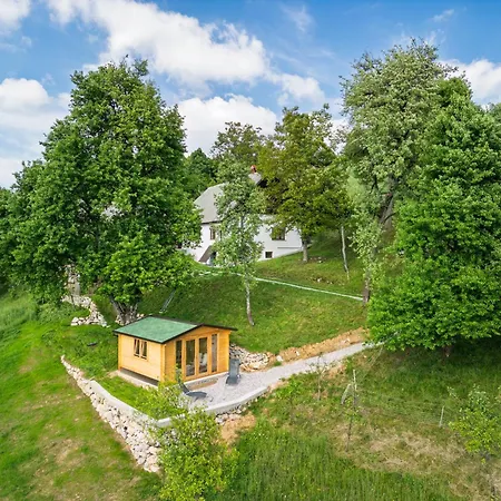 Hébergement de vacances Homes Pr Pelaku With Outdoor Sauna Slap ob Idrijci