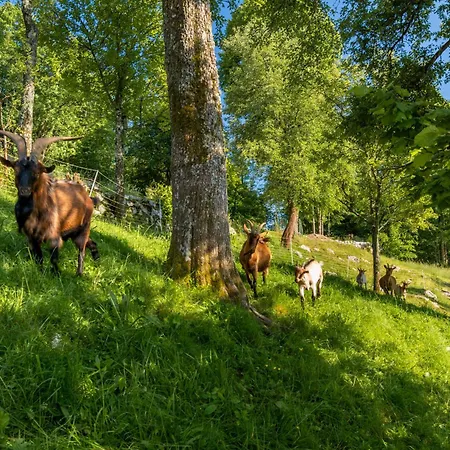 Hébergement de vacances Homes Pr Pelaku With Outdoor Sauna *