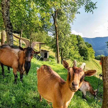 בית נופש Homes Pr Pelaku With Outdoor Sauna Slap ob Idrijci