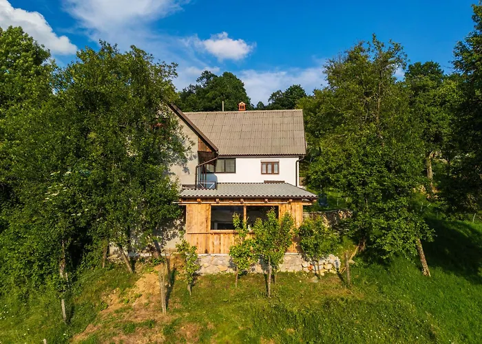 Vakantiehuis Homes Pr Pelaku With Outdoor Sauna Slap ob Idrijci